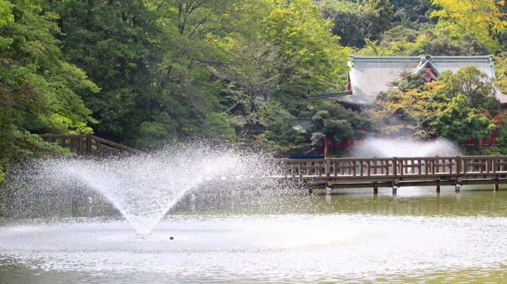 井の頭公園の井の頭池
