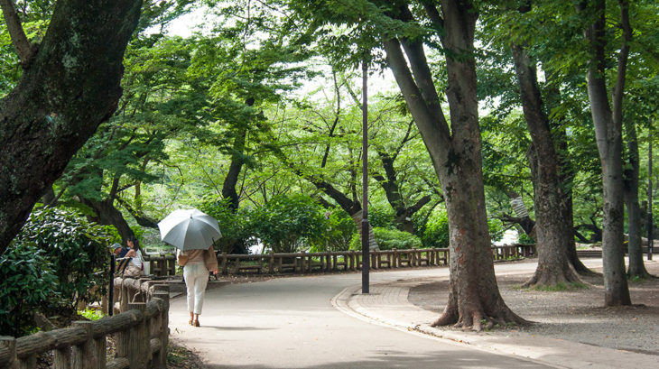 井の頭公園