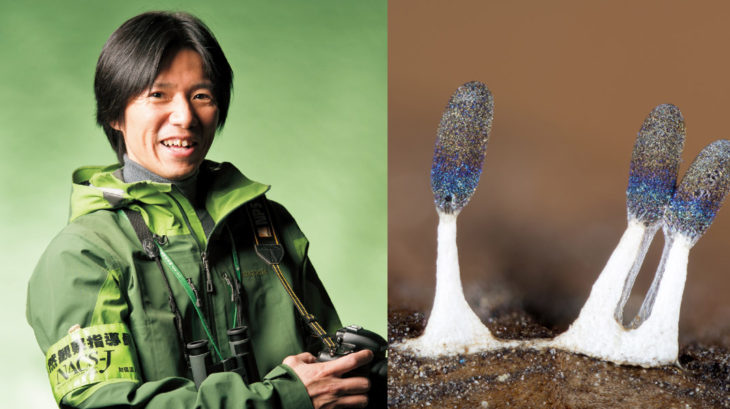 高野丈さんと変形菌の魅力