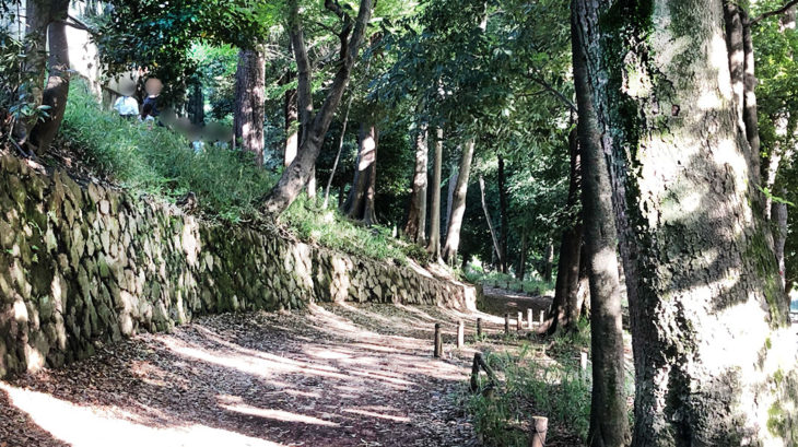 緑の遊歩道